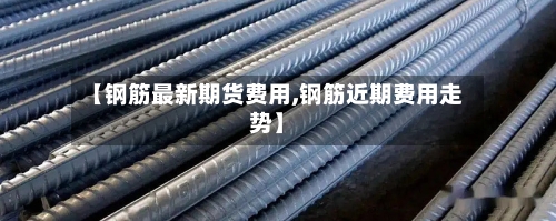 【钢筋最新期货费用,钢筋近期费用走势】-第2张图片