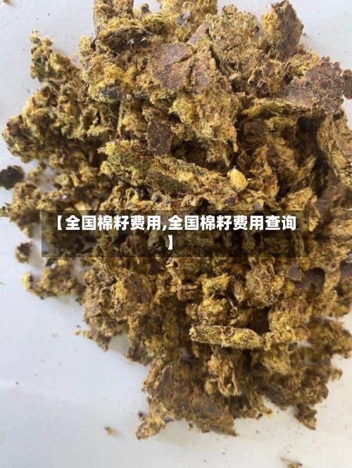 【全国棉籽费用,全国棉籽费用查询】-第2张图片