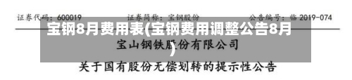 宝钢8月费用表(宝钢费用调整公告8月)-第3张图片