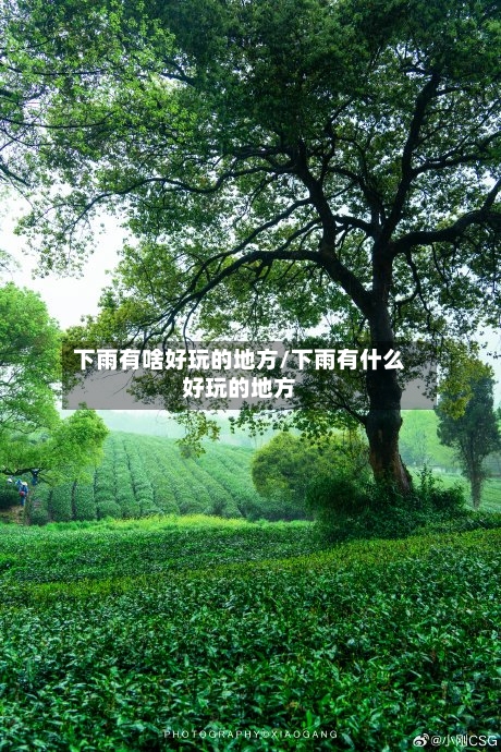 下雨有啥好玩的地方/下雨有什么好玩的地方
