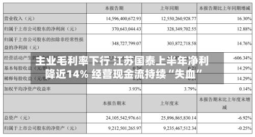 主业毛利率下行 江苏国泰上半年净利降近14% 经营现金流持续“失血”