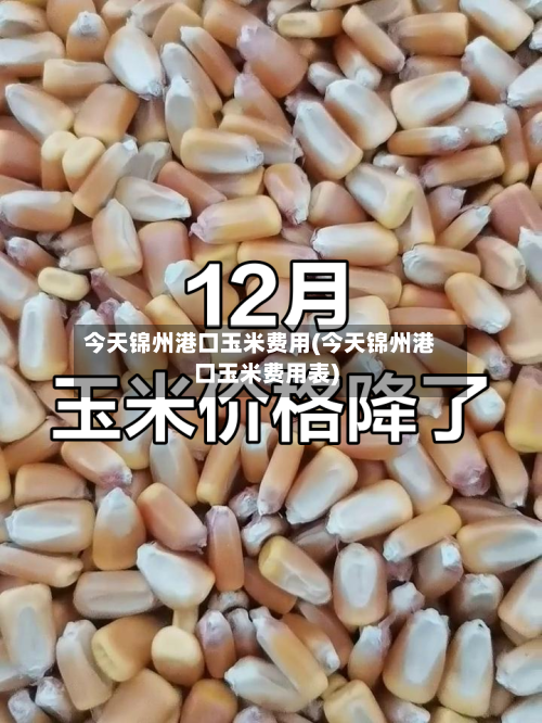 今天锦州港口玉米费用(今天锦州港口玉米费用表)