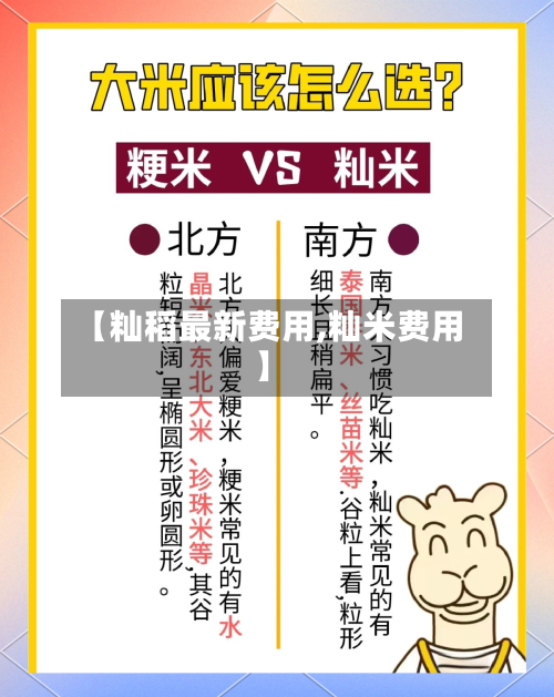 【籼稻最新费用,籼米费用】-第2张图片