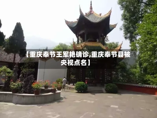 【重庆奉节王军艳确诊,重庆奉节县被央视点名】