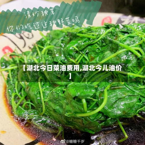 【湖北今日菜油费用,湖北今儿油价】