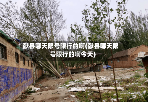 献县哪天限号限行的啊(献县哪天限号限行的啊今天)-第2张图片