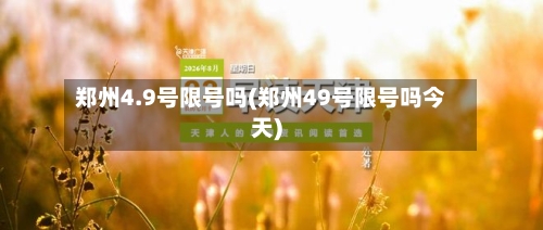 郑州4.9号限号吗(郑州49号限号吗今天)-第2张图片