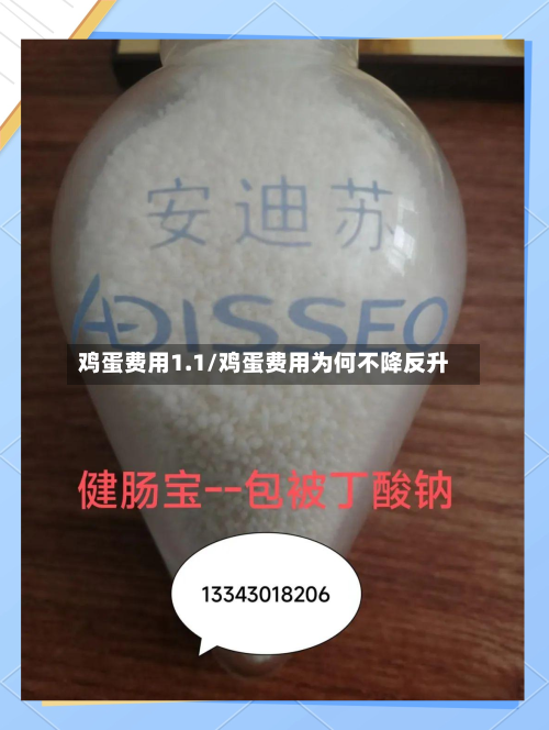 鸡蛋费用1.1/鸡蛋费用为何不降反升-第2张图片