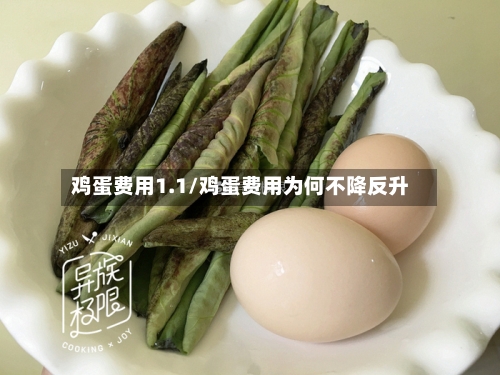 鸡蛋费用1.1/鸡蛋费用为何不降反升