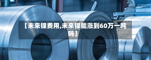 【未来镍费用,未来镍能涨到60万一吨吗】-第2张图片