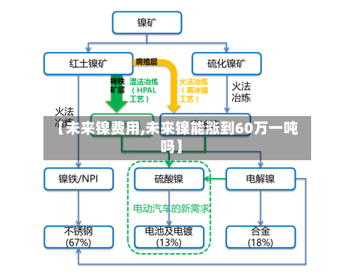【未来镍费用,未来镍能涨到60万一吨吗】