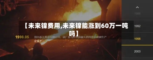【未来镍费用,未来镍能涨到60万一吨吗】-第3张图片