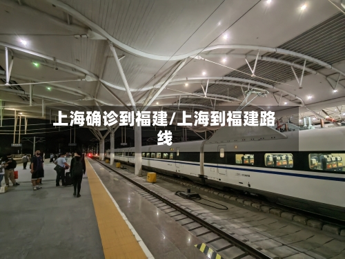 上海确诊到福建/上海到福建路线