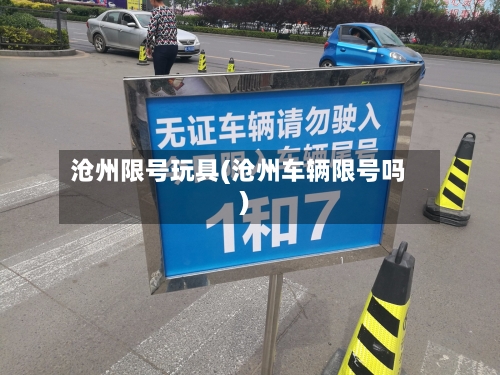 沧州限号玩具(沧州车辆限号吗)