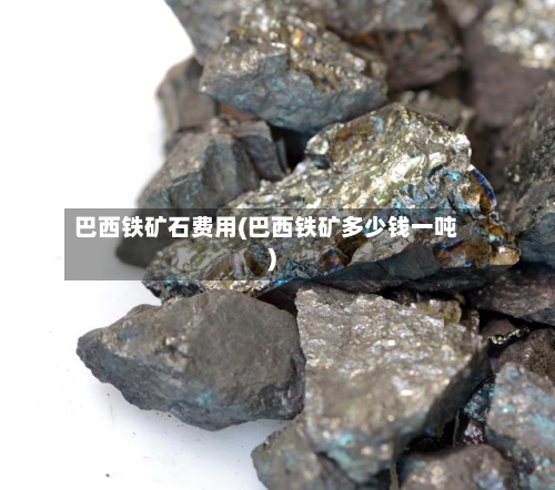 巴西铁矿石费用(巴西铁矿多少钱一吨)
