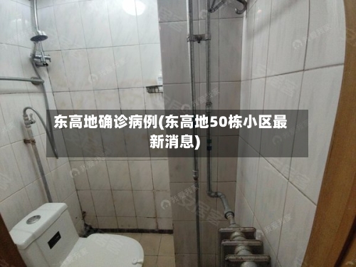 东高地确诊病例(东高地50栋小区最新消息)