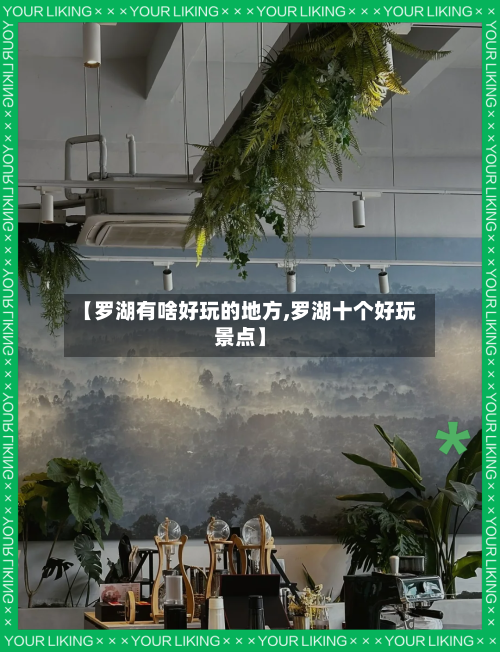 【罗湖有啥好玩的地方,罗湖十个好玩景点】-第3张图片