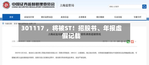 301117 ，将被ST！招股书	、年报虚假记载-第3张图片