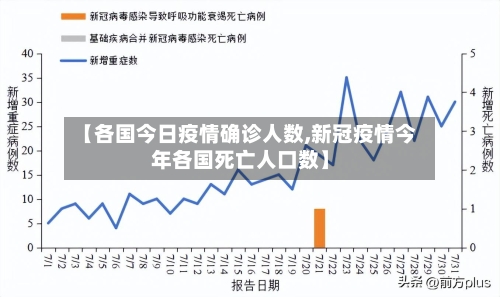 【各国今日疫情确诊人数,新冠疫情今年各国死亡人口数】-第2张图片