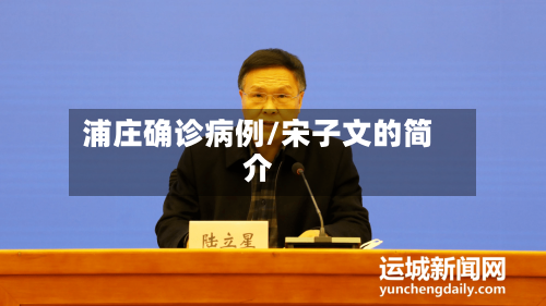 浦庄确诊病例/宋子文的简介-第2张图片