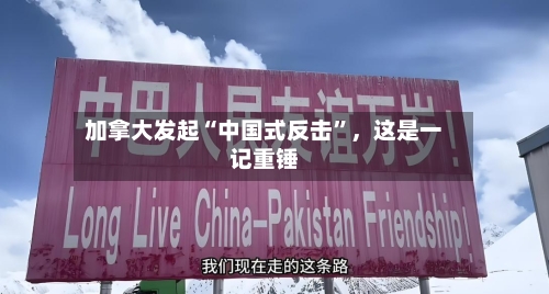 加拿大发起“中国式反击”，这是一记重锤