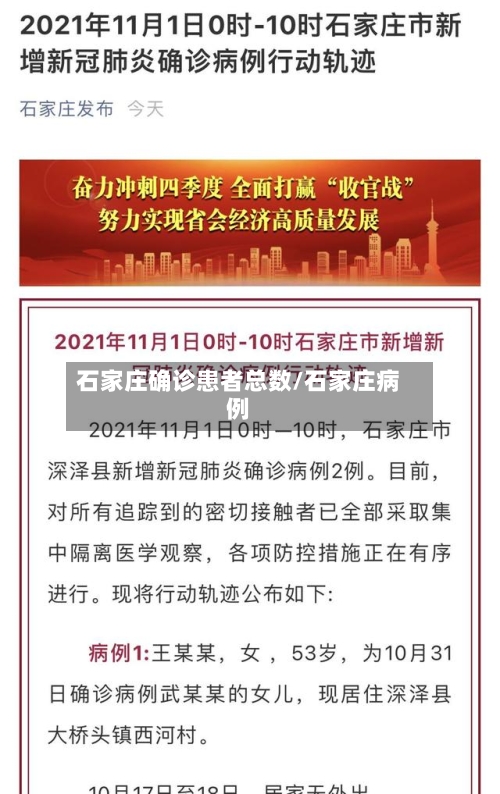 石家庄确诊患者总数/石家庄病例