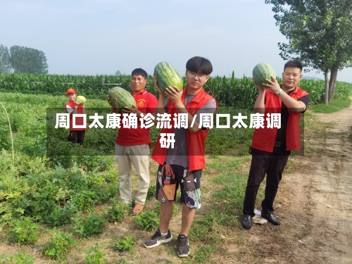 周口太康确诊流调/周口太康调研-第2张图片