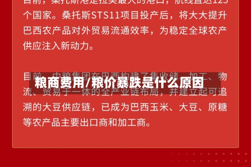 粮商费用/粮价暴跌是什么原因