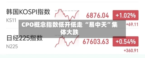 CPO概念指数低开低走 “易中天	”集体大跌-第2张图片