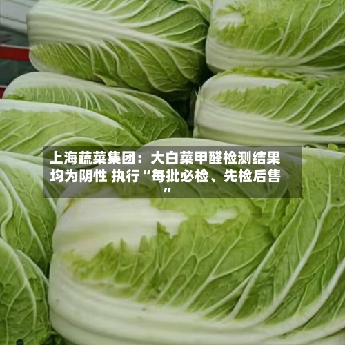 上海蔬菜集团：大白菜甲醛检测结果均为阴性 执行“每批必检、先检后售”