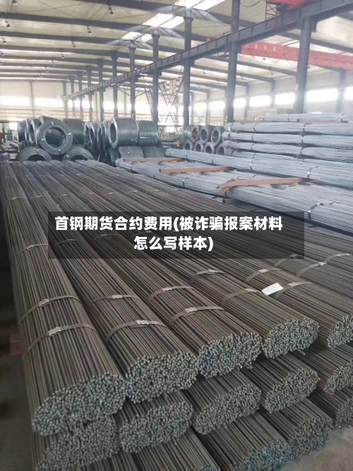首钢期货合约费用(被诈骗报案材料怎么写样本)