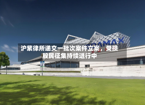 沪紫律所递交一批次案件立案，受损股民征集持续进行中-第2张图片