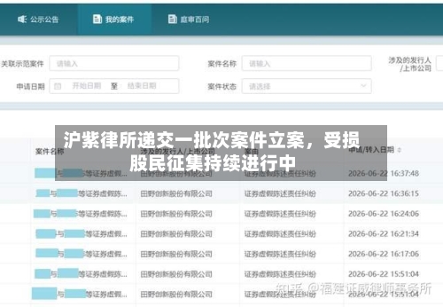 沪紫律所递交一批次案件立案	，受损股民征集持续进行中-第3张图片