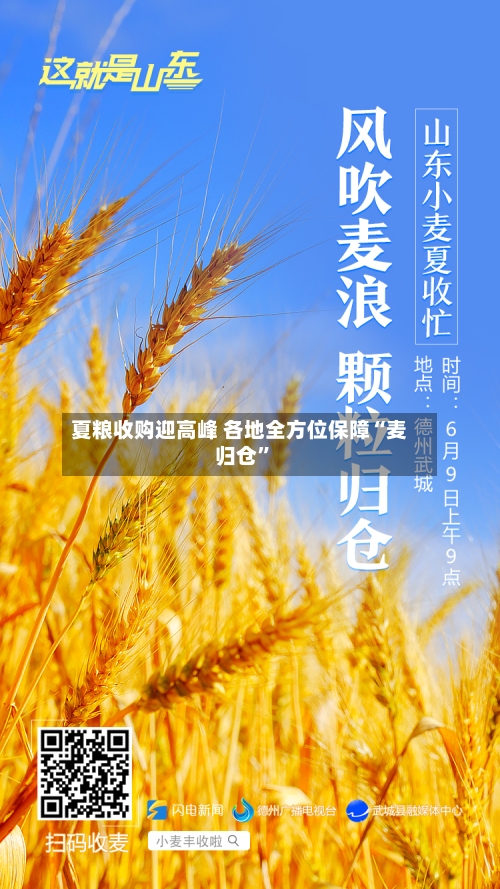 夏粮收购迎高峰 各地全方位保障“麦归仓”