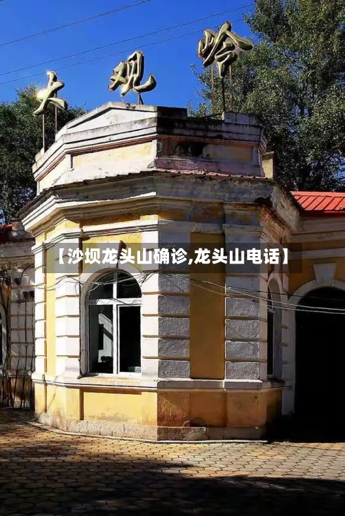 【沙坝龙头山确诊,龙头山电话】-第3张图片