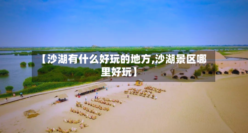 【沙湖有什么好玩的地方,沙湖景区哪里好玩】-第3张图片