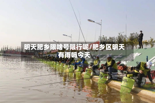 明天肥乡限啥号限行呢/肥乡区明天有雨吗今天