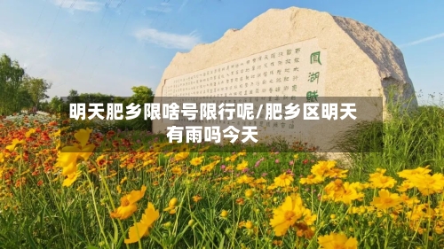 明天肥乡限啥号限行呢/肥乡区明天有雨吗今天-第2张图片