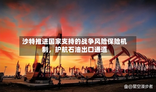 沙特推进国家支持的战争风险保险机制，护航石油出口通道