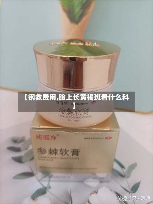 【钢救费用,脸上长黄褐斑看什么科】-第2张图片