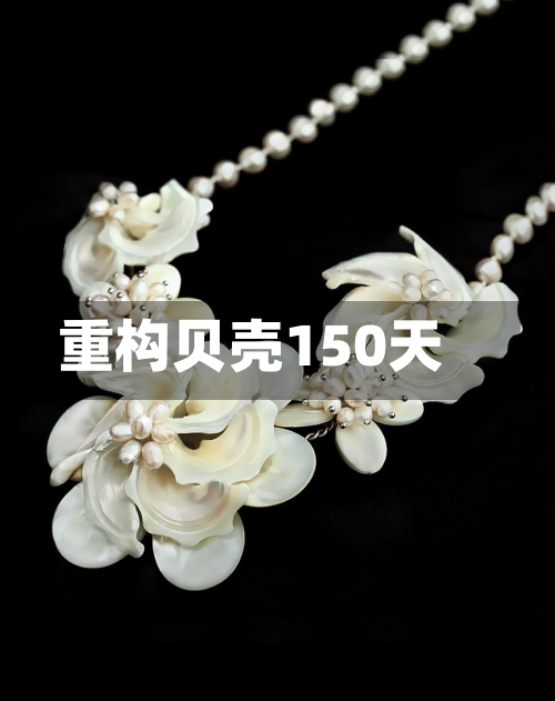 重构贝壳150天