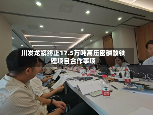 川发龙蟒终止17.5万吨高压密磷酸铁锂项目合作事项