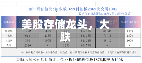 美股存储龙头，大跌-第3张图片