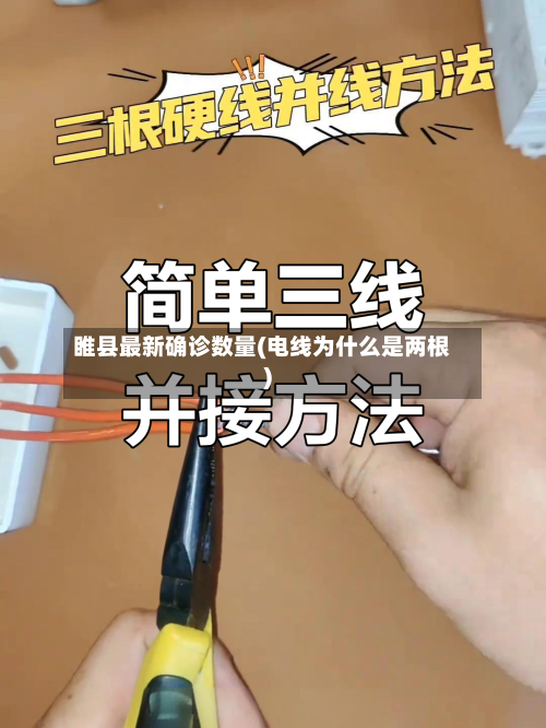 睢县最新确诊数量(电线为什么是两根)-第2张图片