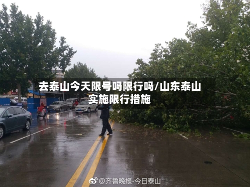 去泰山今天限号吗限行吗/山东泰山实施限行措施-第3张图片