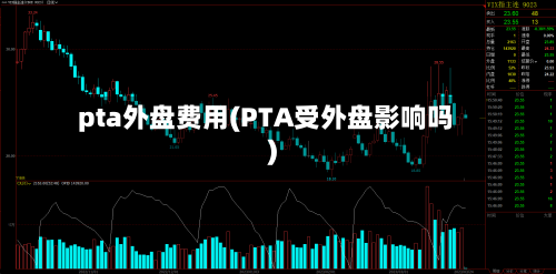 pta外盘费用(PTA受外盘影响吗)-第3张图片