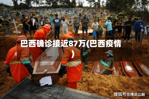 巴西确诊接近87万(巴西疫情)-第3张图片