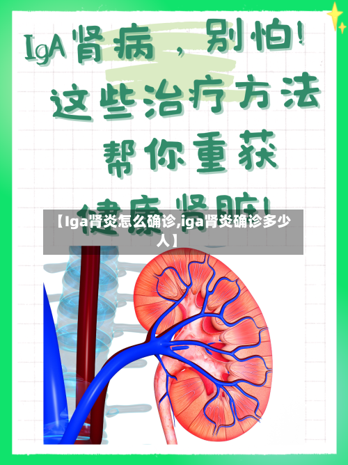 【Iga肾炎怎么确诊,iga肾炎确诊多少人】-第2张图片