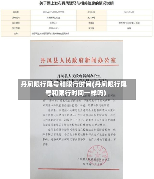 丹凤限行尾号和限行时间(丹凤限行尾号和限行时间一样吗)-第2张图片