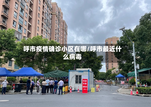呼市疫情确诊小区在哪/呼市最近什么病毒-第2张图片